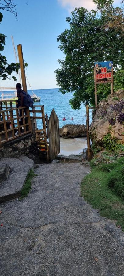 Komfort Getaway Villa At Countrymist Ocho Rios Kültér fotó