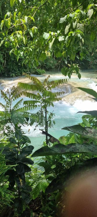 Komfort Getaway Villa At Countrymist Ocho Rios Kültér fotó